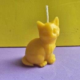 Katzentasche